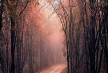 多多28官网：费用不低，踢球者：今夏勒沃库森是否会签下穆杰莱仍不确定.