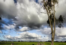 多多28官网：[图]约基奇24+15+9詹眉59分 逆转夺赛点.