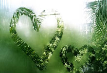 多多28官网：施洛特贝克铁了心留多特，管他状态和欧战！.