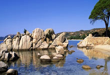 多多28官网：[英超]罗德里接受手术 赛季报销.